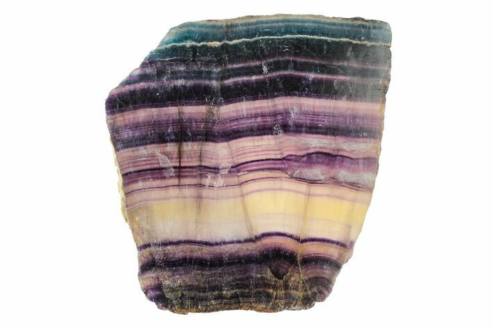 Colorful, Polished Rainbow Fluorite Slab #250490